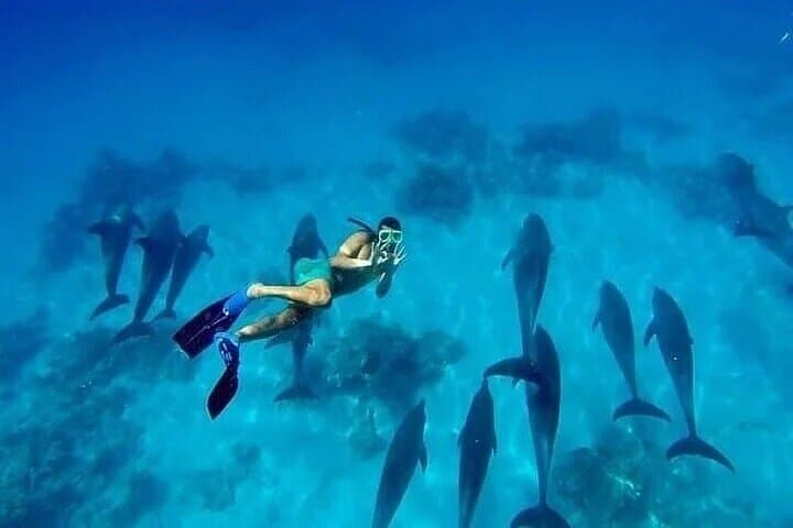 Hurghada Semi-Private Speedboat to Dolphins and Orange Bay photo 4