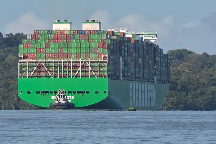 Gatun Lake Expedition: Panama Rainforest Boat Tour and Wildlife Viewing photo 2