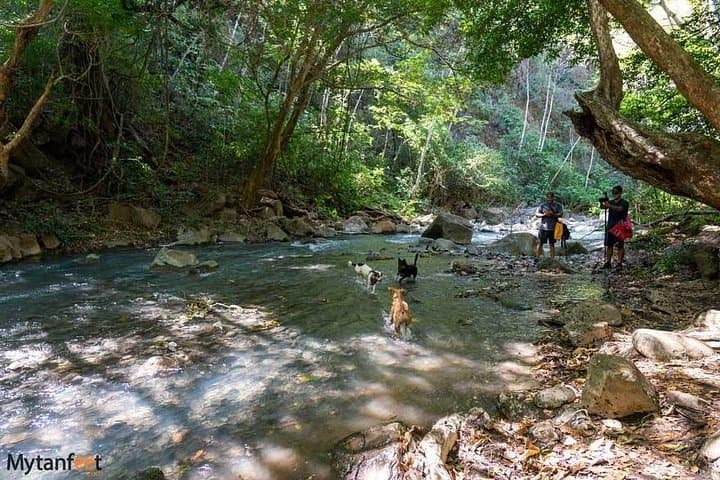 La Leone Waterfall Private Tour: Canyon Hike, River Walk and Swim from Tamarindo photo 2