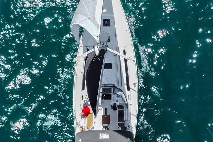 Private Sailing Charters Oceanside CA — Dolphins, Whales & Coastline Views photo 2