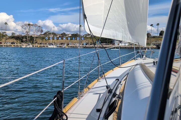 Private Sailing Charters Oceanside CA — Dolphins, Whales & Coastline Views photo 6