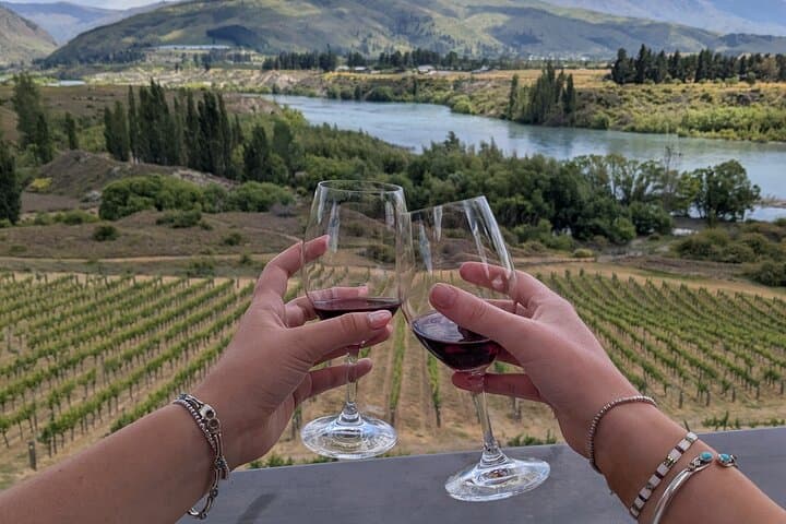 Wanaka Wine and Scenic Tour: Central Otago Pinot Noir & Vineyard Views photo 2