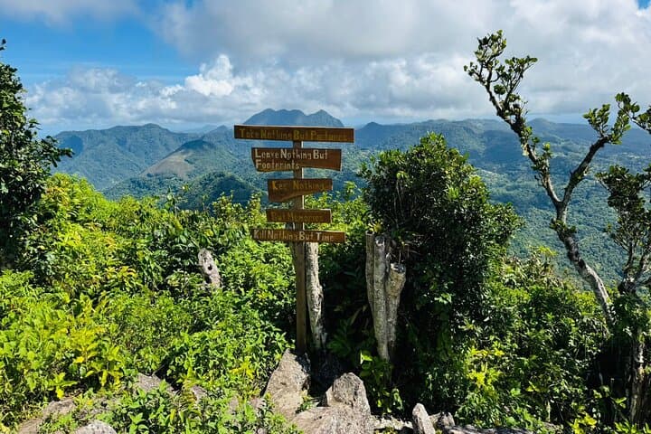 Gros Piton Hike: 4-Hour Guided Summit Trek in St. Lucia photo 4