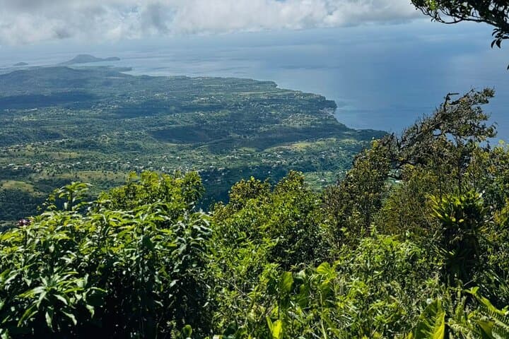 Gros Piton Hike: 4-Hour Guided Summit Trek in St. Lucia photo 5