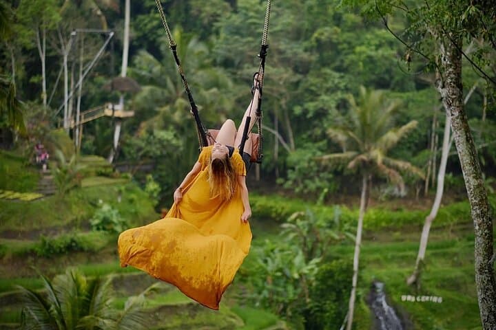 Ubud Day Tour — Private All‑Inclusive Guide to Monkey Forest, Bali Swing & Tegalalang