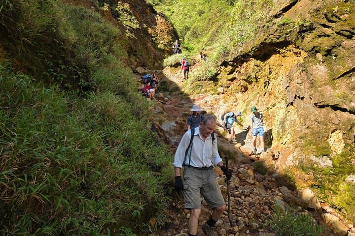 Boiling Lake Hike & Titou Gorge Swim — Full-Day Guided Adventure in Dominica photo 5