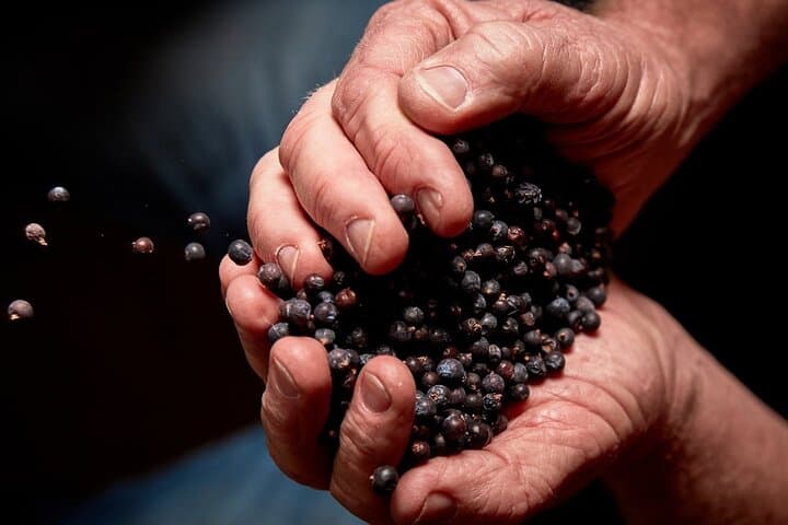 Bellarine Peninsula Private Wine, Cider & Craft Beer Day Trip from Melbourne photo 4