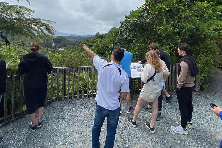 Afternoon Eco‑Thermal Tour in Rotorua: Wai‑O‑Tapu & Waimangu Half‑Day photo 3