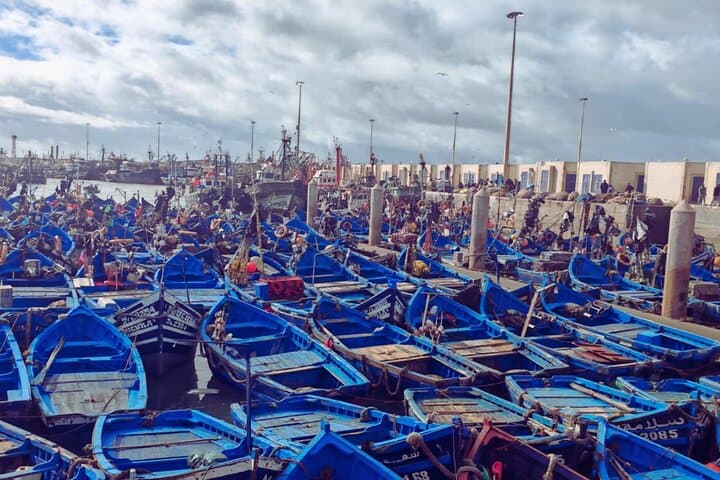 Essaouira Day Trip from Marrakech: Atlantic Ramparts, Argan Co-ops & Medinas