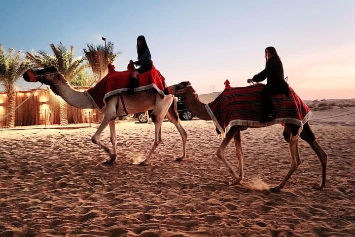 Dubai Red Dunes Desert Safari: Sunset Dune Bashing, Camel Rides & BBQ Veg Dinner photo 4