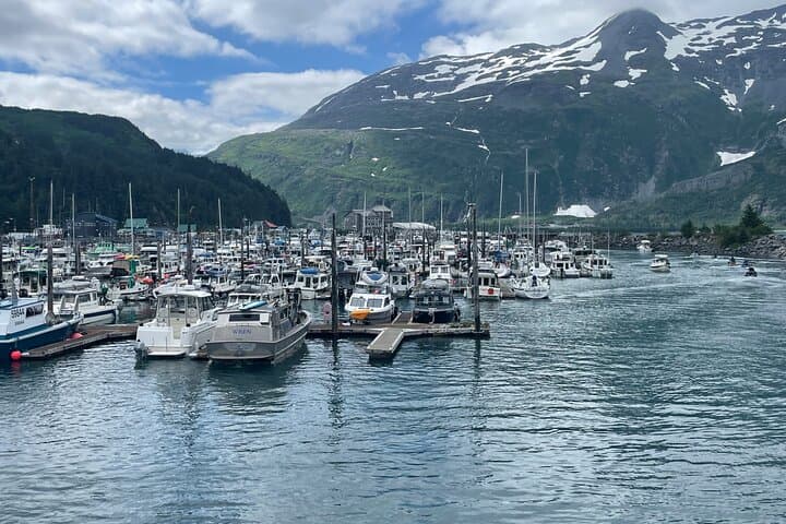 Whittier Drive and Coastal Alaska Full-Day Adventure from Anchorage photo 4