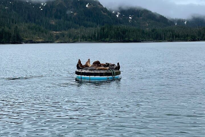 Whittier Drive and Coastal Alaska Full-Day Adventure from Anchorage photo 5