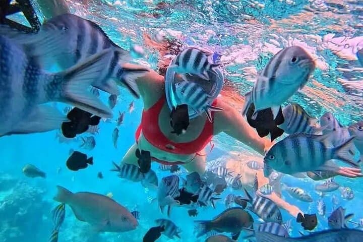 Kizimkazi Dolphin Tour: Private 3-Hour Dolphin Experience in Zanzibar photo 3