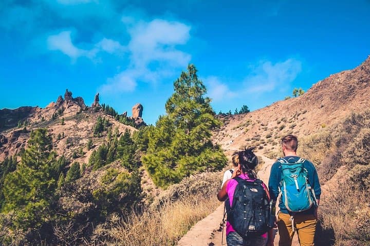 Volcano Heart Self-Guided Tour — Roque Nublo, Bandama & Pico de las Nieves photo 3