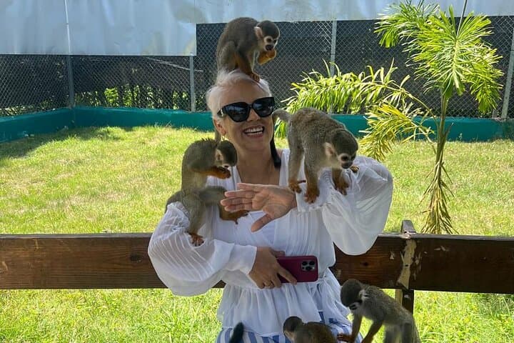 Puerto Plata Monkey Sanctuary & Cultural Garden Tour: Squirrel Monkeys, Coffee & Cocoa Tasting