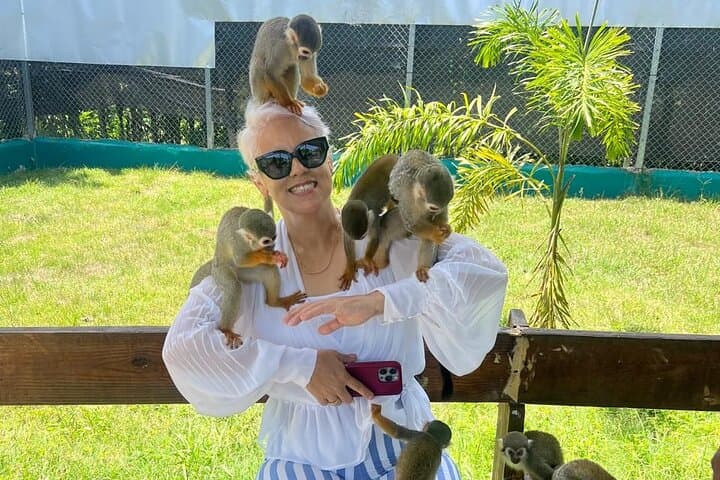Puerto Plata Monkey Sanctuary & Cultural Garden Tour: Squirrel Monkeys, Coffee & Cocoa Tasting photo 5