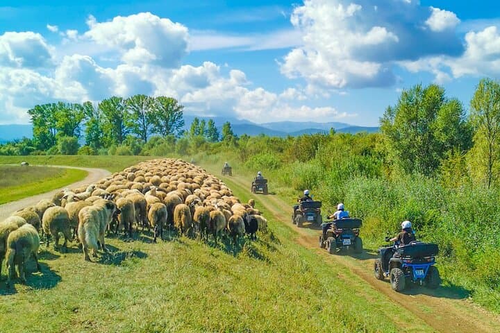 Ride the Dalmatian Interior: ATV Quad Safari from Split with Picnic & Swim