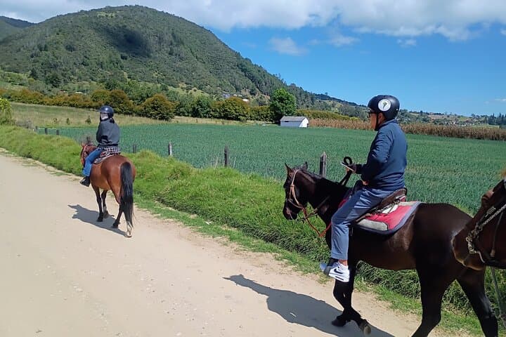 Half-Day Horseback Ride into the Andes Near La Calera photo 5