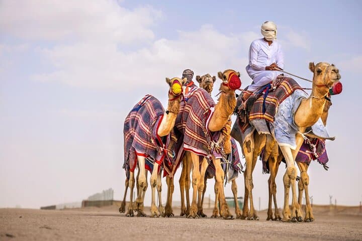 VIP Dubai Red Dunes Safari: 4x4 Dune Bashing, Camel Ride & Desert Dinner