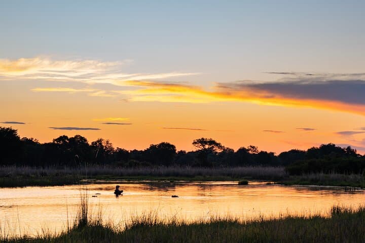 Half‑Day Chobe Game Drive — Kasane Safari for Elephants & River Views photo 6