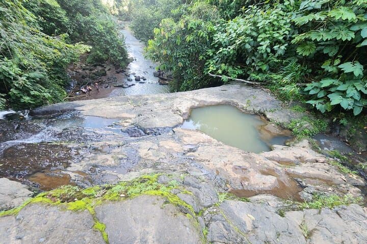 Bribri Waterfalls & Cocoa Workshop — Guided Jungle Hike from Puerto Viejo photo 4