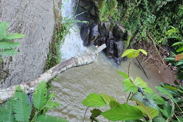 Bribri Waterfalls & Cocoa Workshop — Guided Jungle Hike from Puerto Viejo photo 6