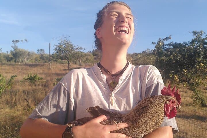 Organic Farm & Animal Tour Near Serra da Estrela: Hands-On Ecotourism in Trancoso photo 6