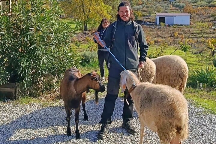 Organic Farm & Animal Tour Near Serra da Estrela: Hands-On Ecotourism in Trancoso