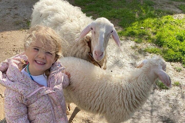 Organic Farm & Animal Tour Near Serra da Estrela: Hands-On Ecotourism in Trancoso photo 2