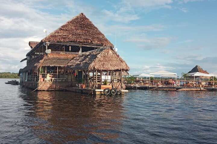 Itaya and Amazon River Confluence Cruise — Dolphin & Riverbank Wildlife Tour photo 5