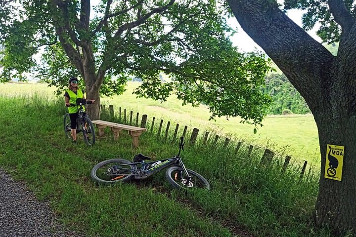 E-Bike Adventure on the Laughing Moa Loop — 42km River Valley Ride in New Zealand photo 4