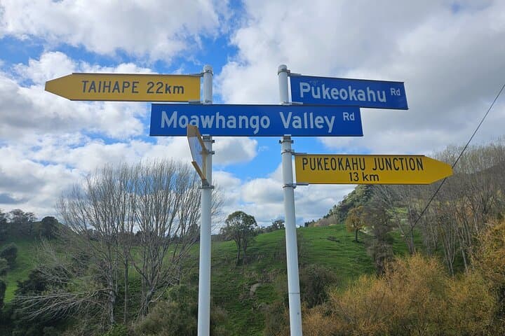 E-Bike Adventure on the Laughing Moa Loop — 42km River Valley Ride in New Zealand photo 5
