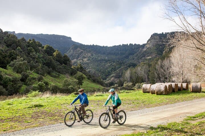 E-Bike Adventure on the Laughing Moa Loop — 42km River Valley Ride in New Zealand photo 6