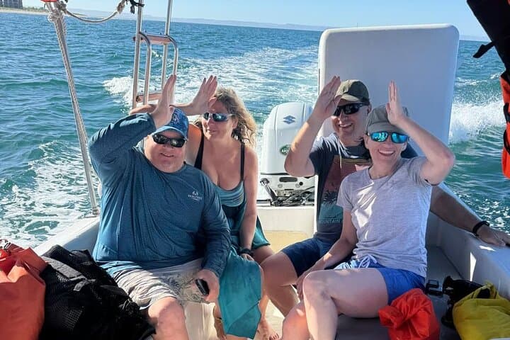Swim with Whale Sharks in La Paz: Responsible Guided Snorkel Trip photo 4