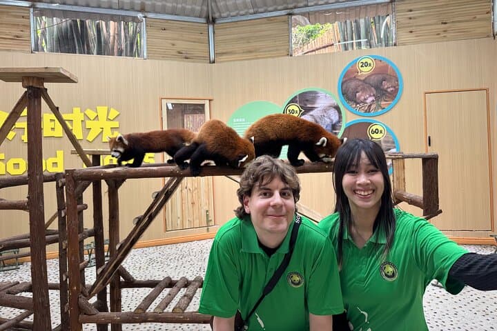 Dujiangyan Panda Park Day Tour: Up-Close Encounters with Giant and Red Pandas photo 3