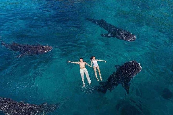 Whale Shark Watching & Kawasan Canyoneering: One-Day Oslob to Badian Adventure photo 2