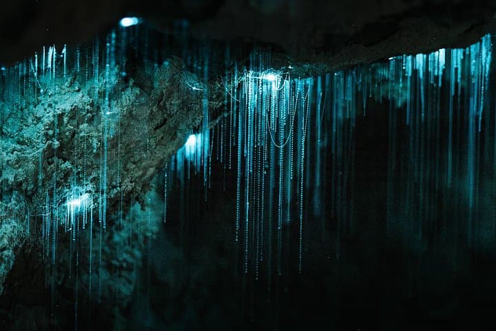 Starburst Cathedral Glowworm Cave Tour — Deep Milky Way Photo Experience in Waitomo