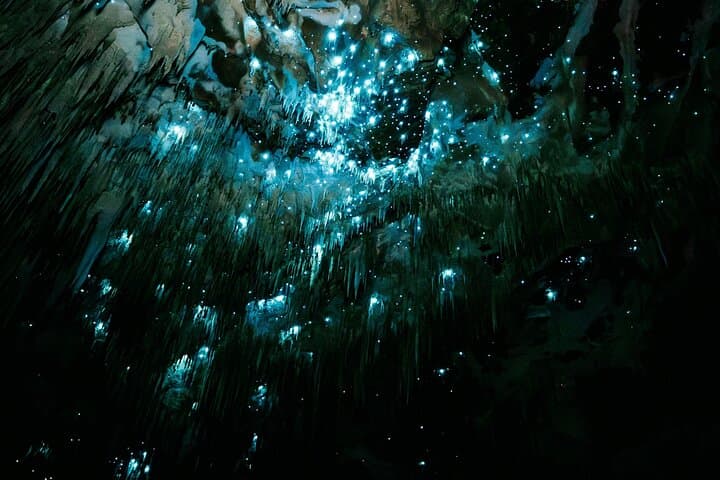 Starburst Cathedral Glowworm Cave Tour — Deep Milky Way Photo Experience in Waitomo photo 2