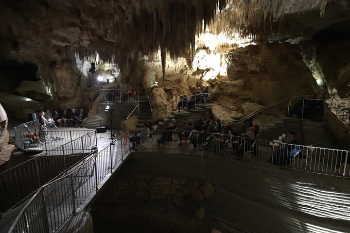 Starburst Cathedral Glowworm Cave Tour — Deep Milky Way Photo Experience in Waitomo photo 3