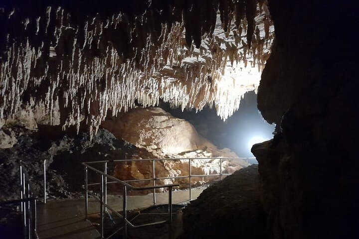 Starburst Cathedral Glowworm Cave Tour — Deep Milky Way Photo Experience in Waitomo photo 5