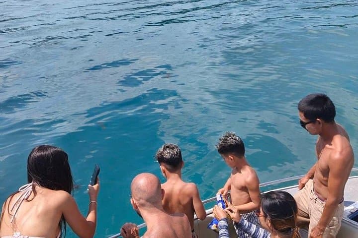 Private Speed Boat to Pig Island and Coral Snorkeling from Koh Samui photo 2