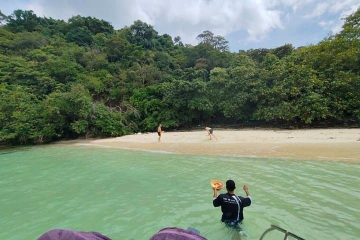 Private Speed Boat to Pig Island and Coral Snorkeling from Koh Samui photo 3