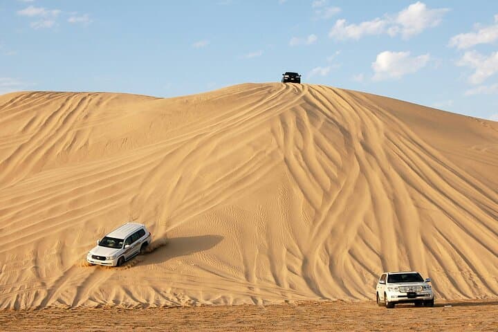 Doha Desert Safari to Dhow Cruise: Full-Day Qatar Adventure photo 5