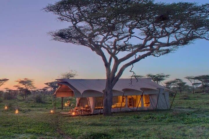 6-Day Tanzania Safari: Hadzabe & Maasai Cultural Safari in Serengeti and Ngorongoro
