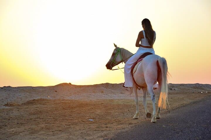 Horseback Riding in Sharm El Sheikh Desert: 1–2 Hour Guided Dune Ride with Transfers photo 3