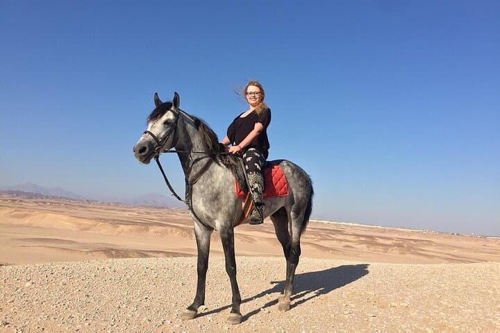 Horseback Riding in Sharm El Sheikh Desert: 1–2 Hour Guided Dune Ride with Transfers photo 1