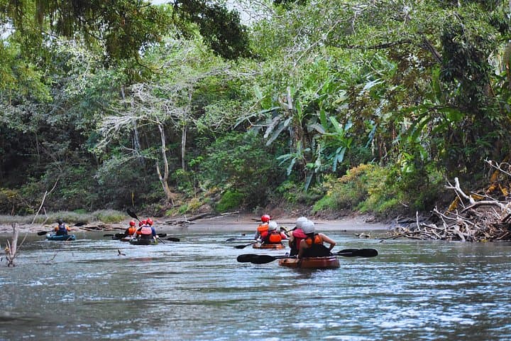 Peñas Blancas Kayak Wildlife Safari from La Fortuna photo 3