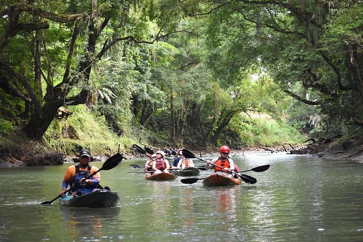 Peñas Blancas Kayak Wildlife Safari from La Fortuna photo 2