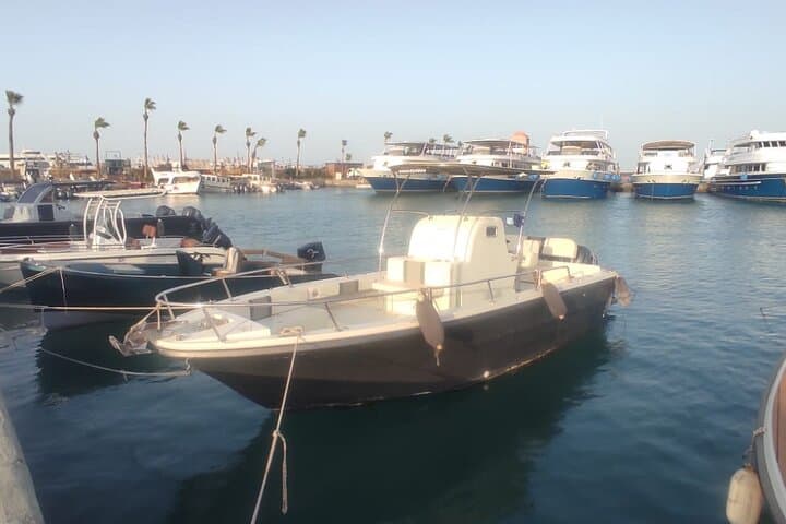 Private Hurghada Speedboat Tour: Dolphins, Snorkeling & Giftun Islands photo 2