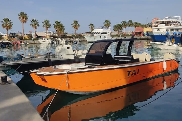 Private Hurghada Speedboat Tour: Dolphins, Snorkeling & Giftun Islands photo 3
